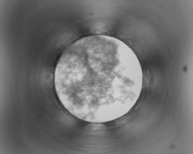 X0000116340427201001131049