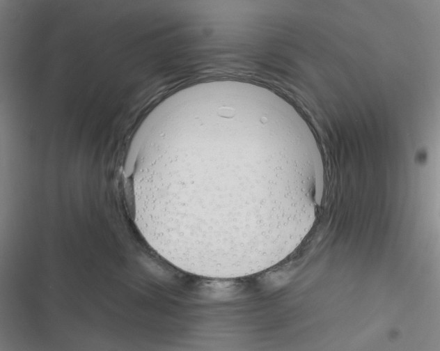 X0000116340428201001131049