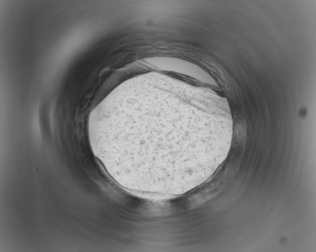 X0000116340429201001131049