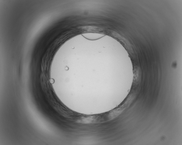 X0000116340430201001131049