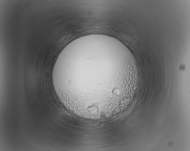 X0000116340432201001131049