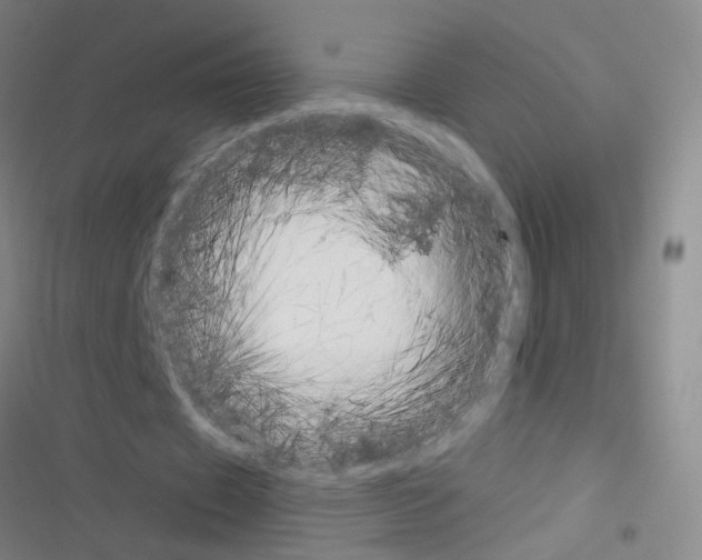 X0000116340433201001131048