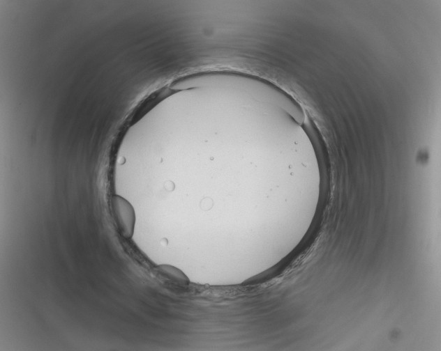 X0000116340434201001131048