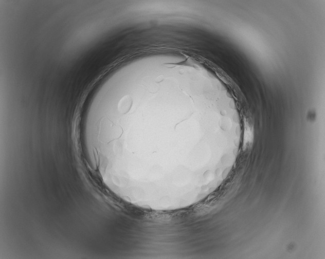 X0000116340435201001131048