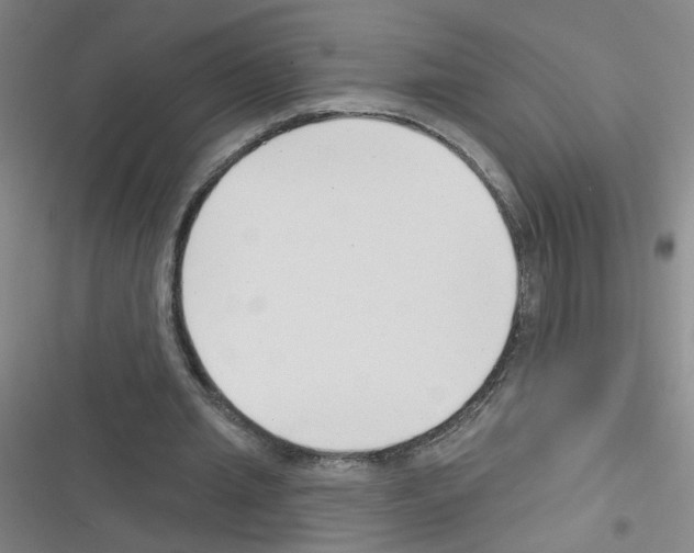 X0000116340437201001131048