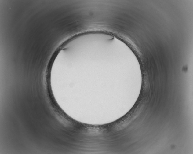 X0000116340439201001131048