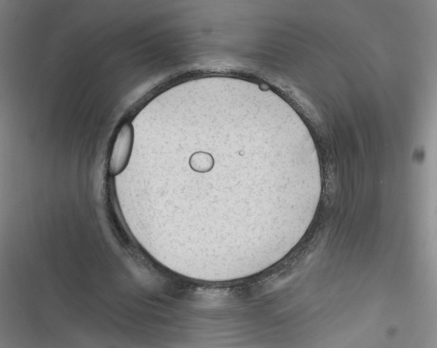 X0000116340440201001131048