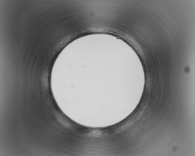 X0000116340441201001131048