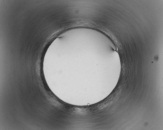 X0000116340442201001131048