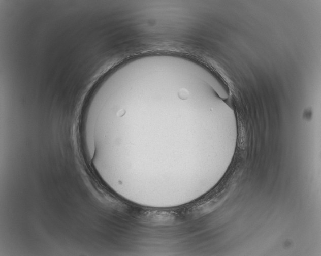 X0000116340443201001131048