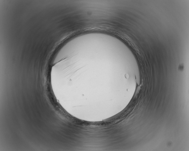 X0000116340444201001131048