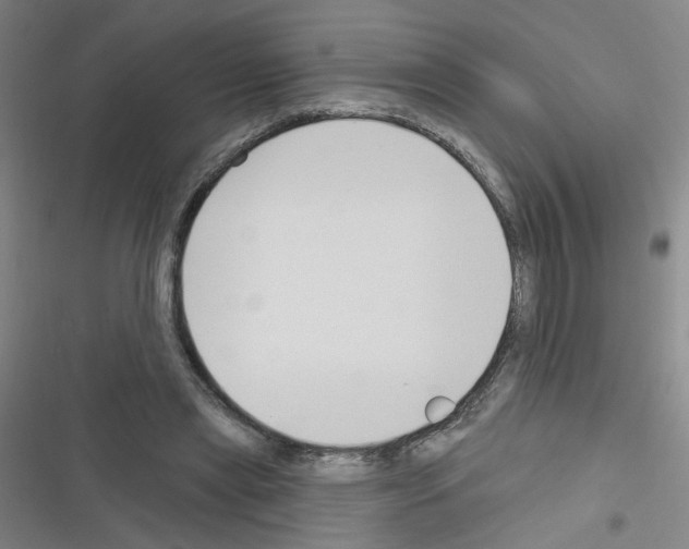 X0000116340445201001131048