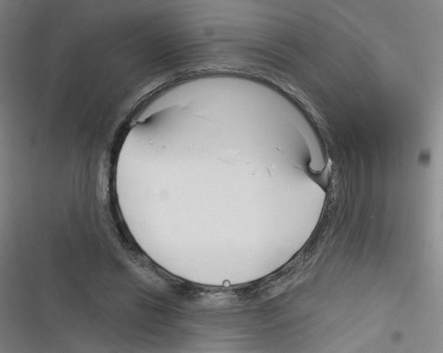 X0000116340446201001131049