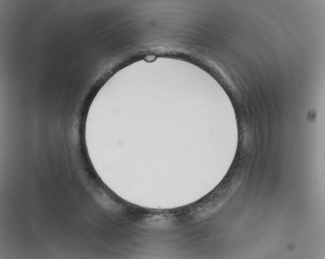 X0000116340447201001131049