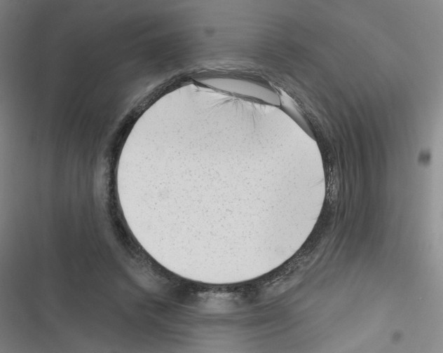 X0000116340448201001131049