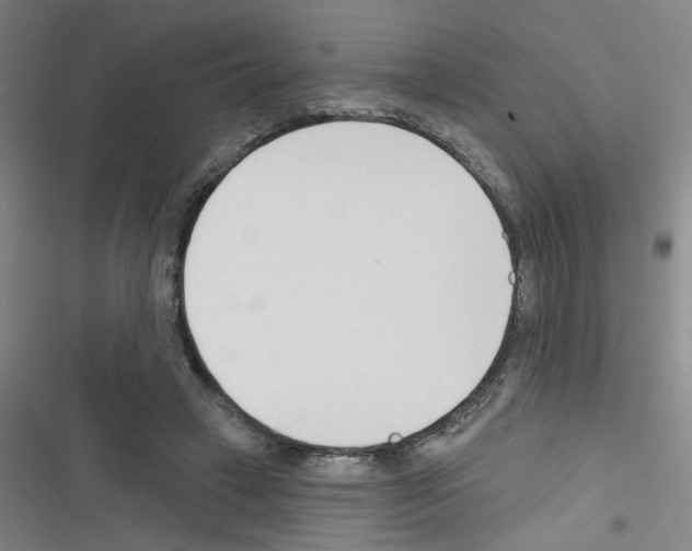 X0000116340449201001131049