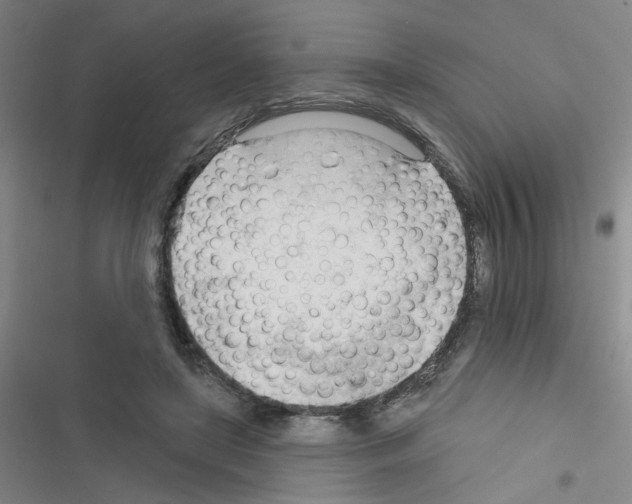 X0000116340451201001131049