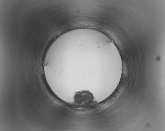 X0000116340453201001131049