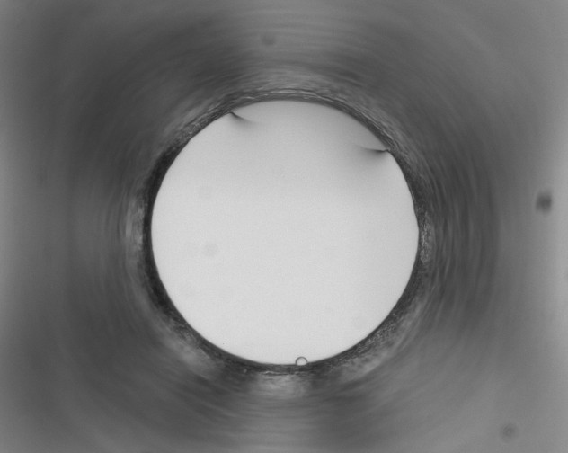 X0000116340454201001131049