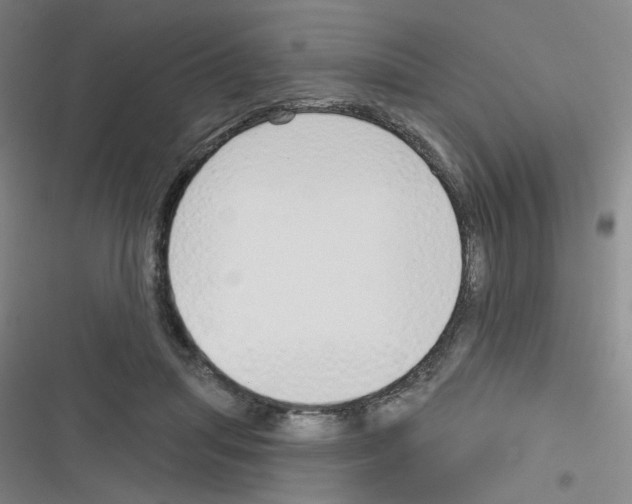 X0000116340455201001131049