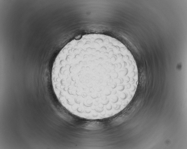 X0000116340459201001131049