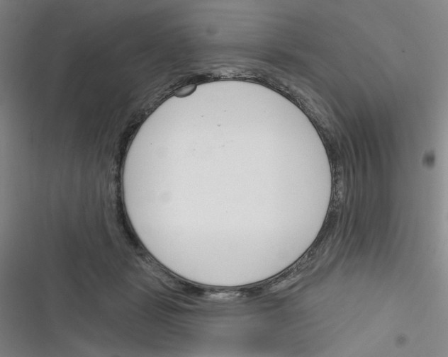 X0000116340461201001131049