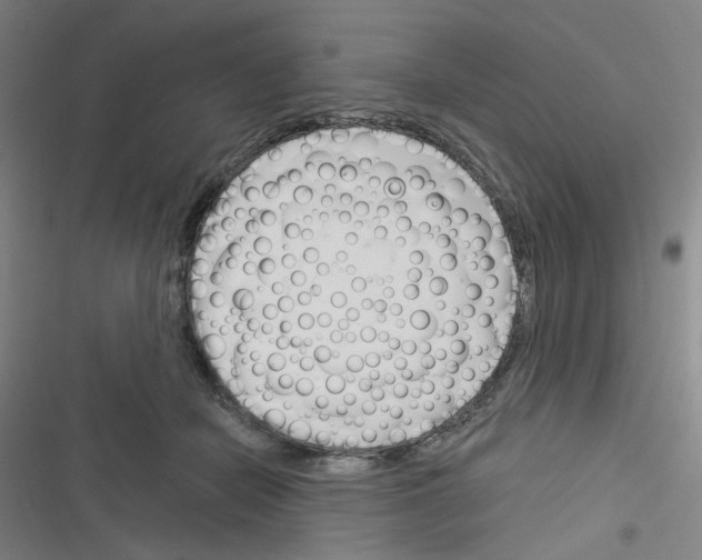 X0000116340462201001131049