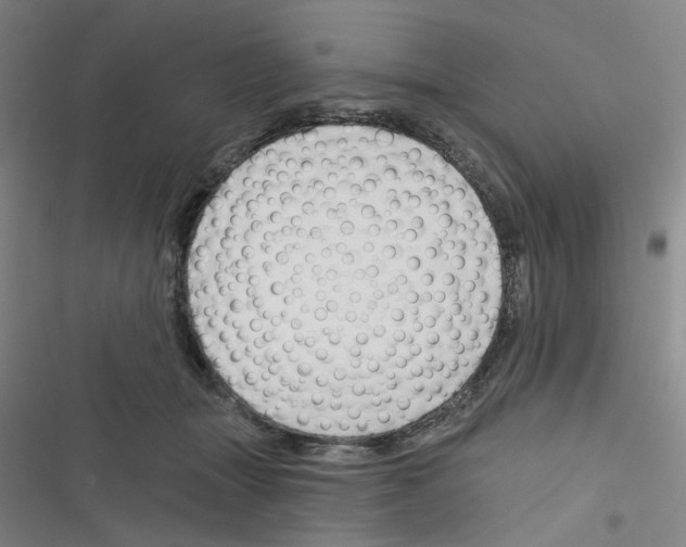 X0000116340463201001131049