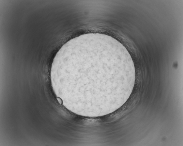 X0000116340465201001131049