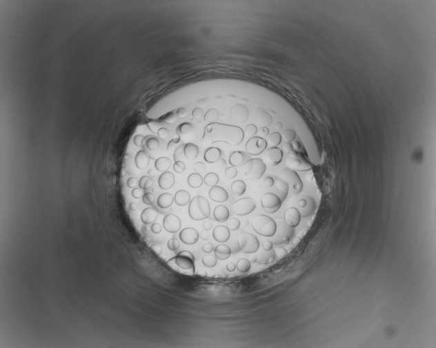 X0000116340466201001131049