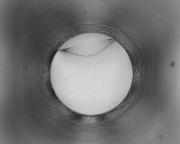 X0000116340469201001131049