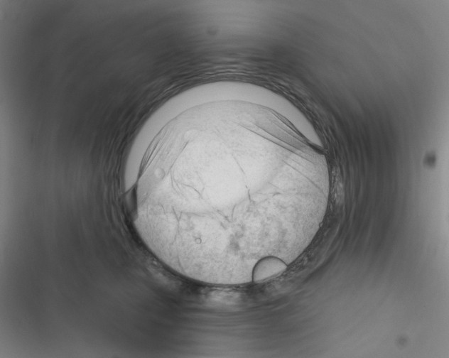 X0000116340471201001131049