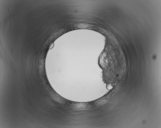 X0000116340473201001131049