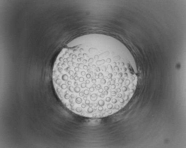 X0000116340474201001131049