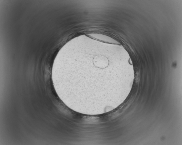 X0000116340476201001131049