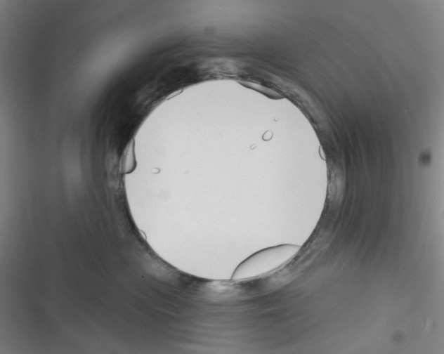 X0000116340477201001131049