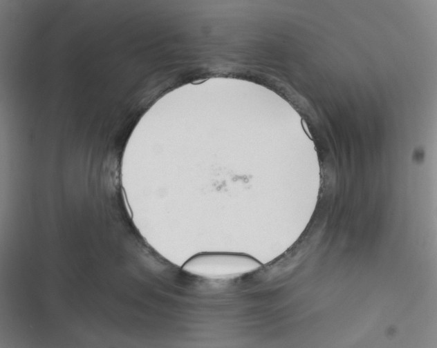 X0000116340479201001131049