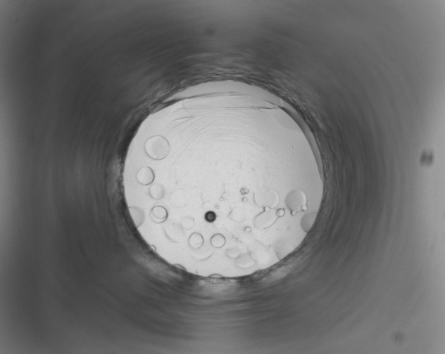 X0000116340480201001131049