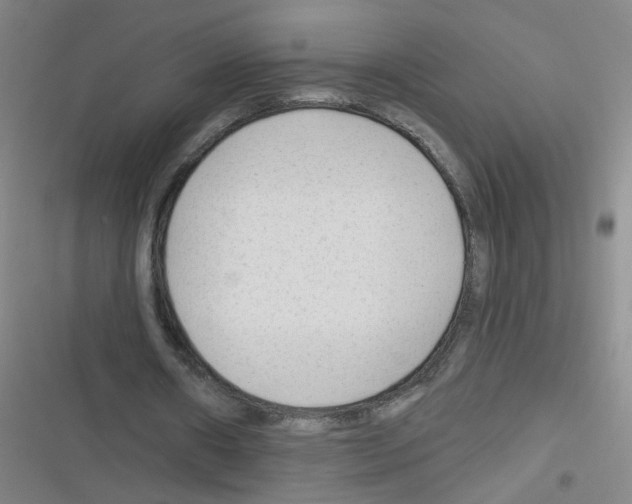 X0000116340482201001131048