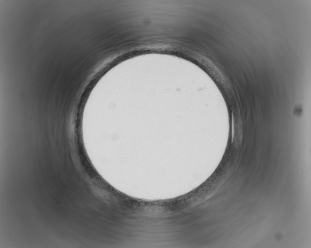 X0000116340483201001131048