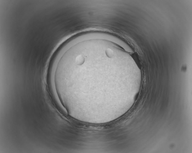 X0000116340484201001131048