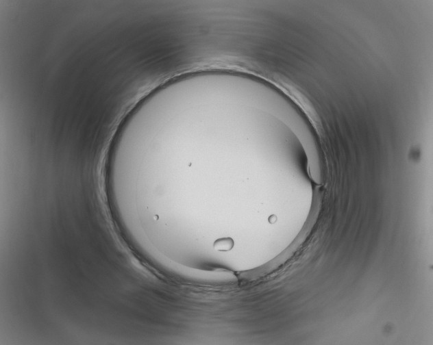 X0000116340485201001131048