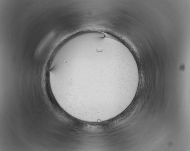 X0000116340487201001131048