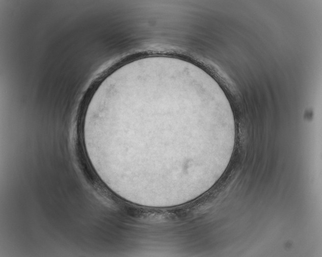 X0000116340488201001131048