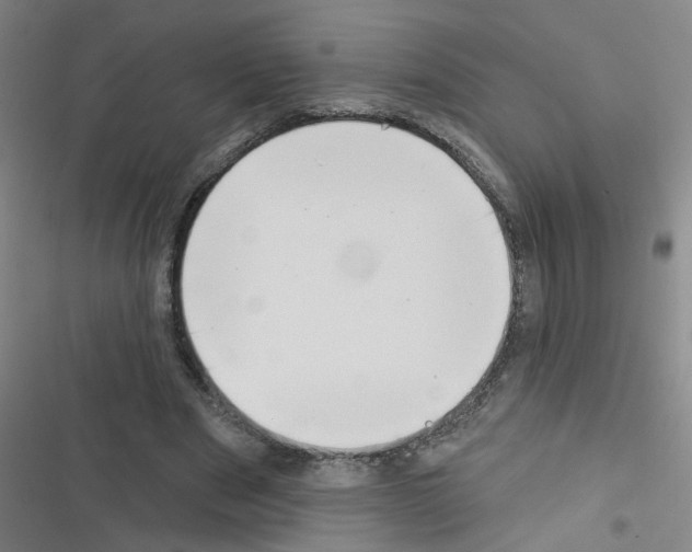 X0000116340489201001131048