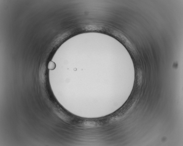 X0000116340490201001131048