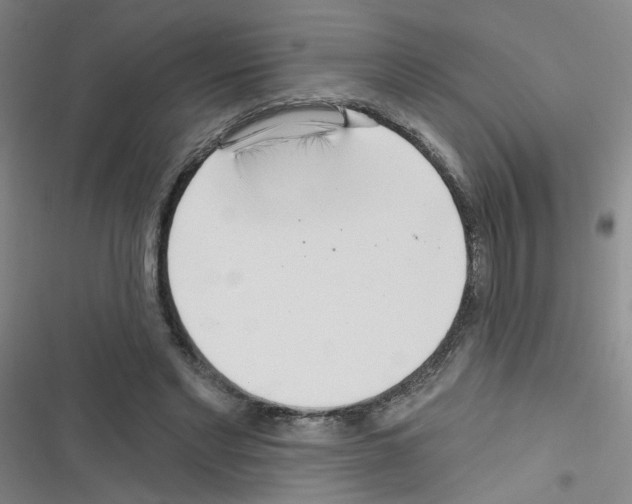 X0000116340493201001131048