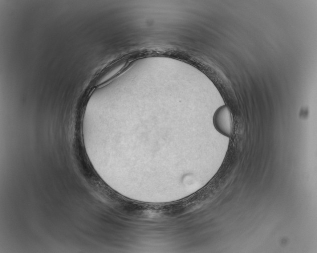 X0000116340496201001131048