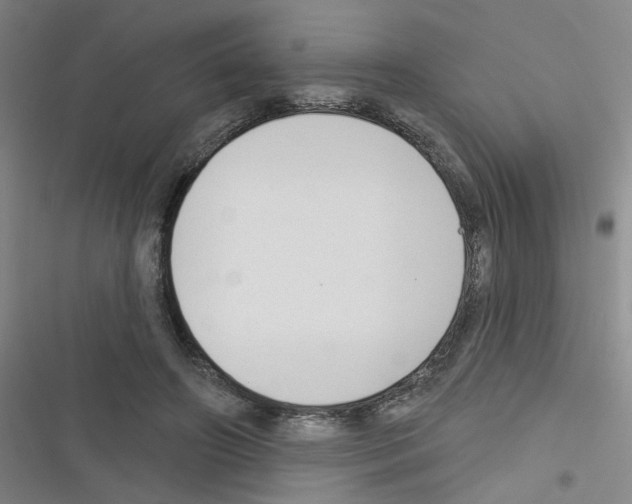 X0000116340498201001131048