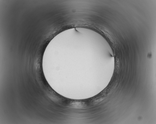 X0000116340499201001131048